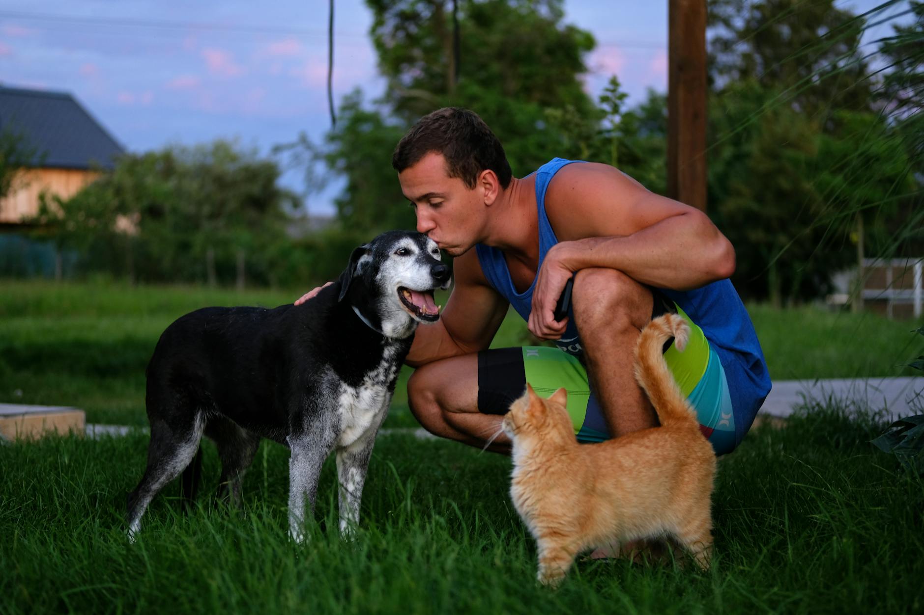 Obesidade em pets: riscos e como prevenir o sobrepeso