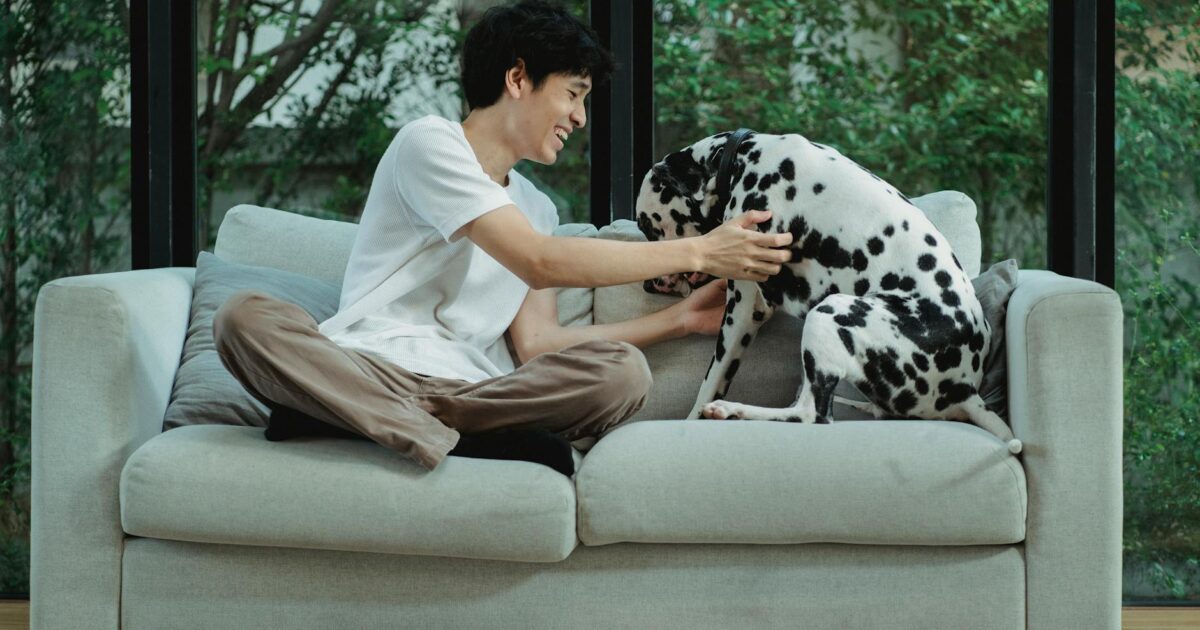 Guia completo de higiene para pets em apartamento