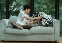 Guia completo de higiene para pets em apartamento
