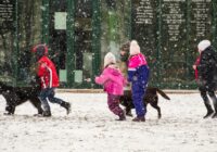 Group of children and dogs playing in the snowy outdoors.