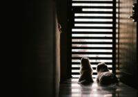 Ansiedade de separação em cães: como tratar com sucesso