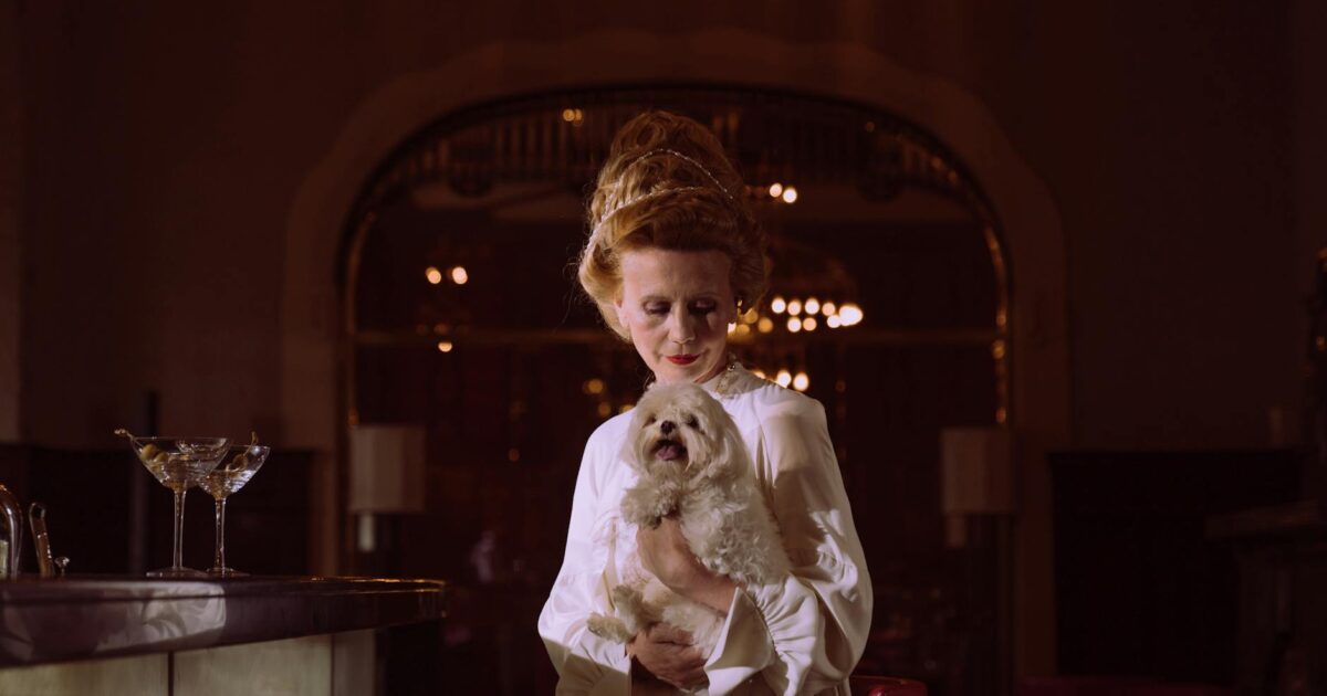 Pet friendly: restaurantes e hotéis que aceitam animais