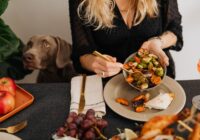 Doenças mais comuns em cães e como prevenir com nutrição