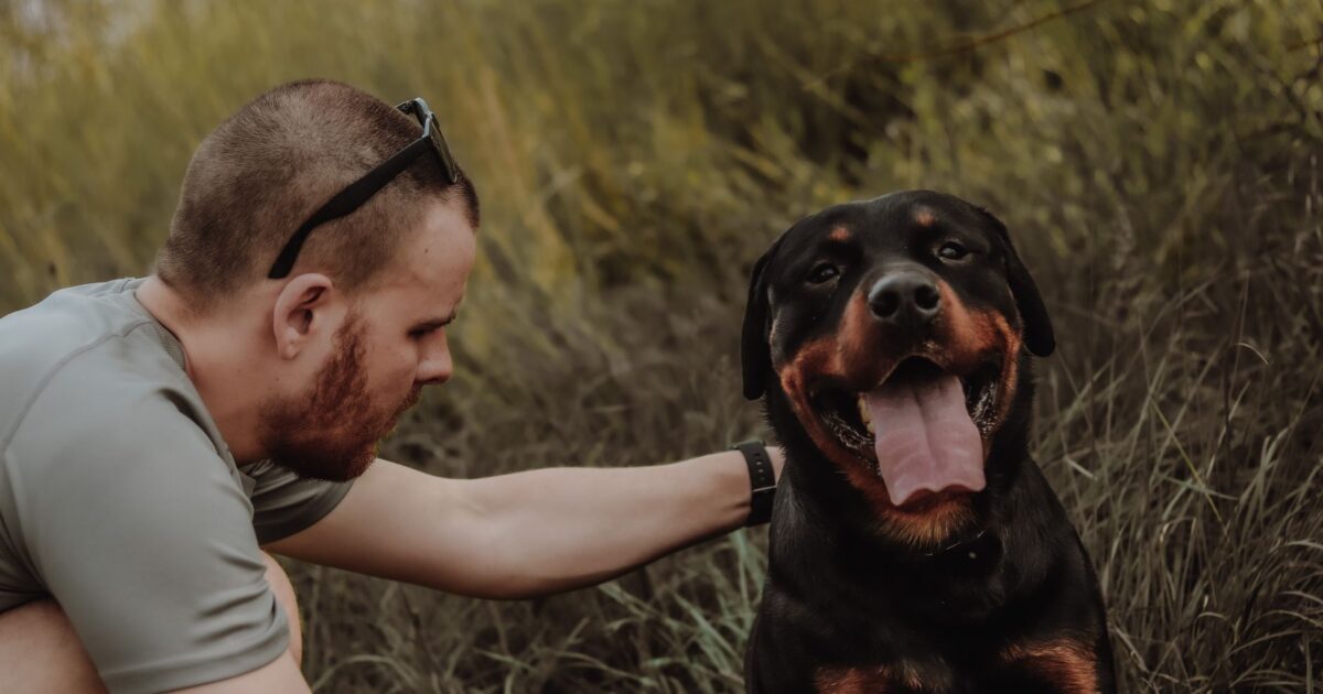Doenças mais comuns em cães e como prevenir: Guia Vital