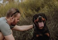 A man in a casual setting petting a happy Rottweiler in nature.