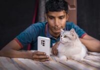 Os gatos mais compartilhados da internet e por que amamos tanto