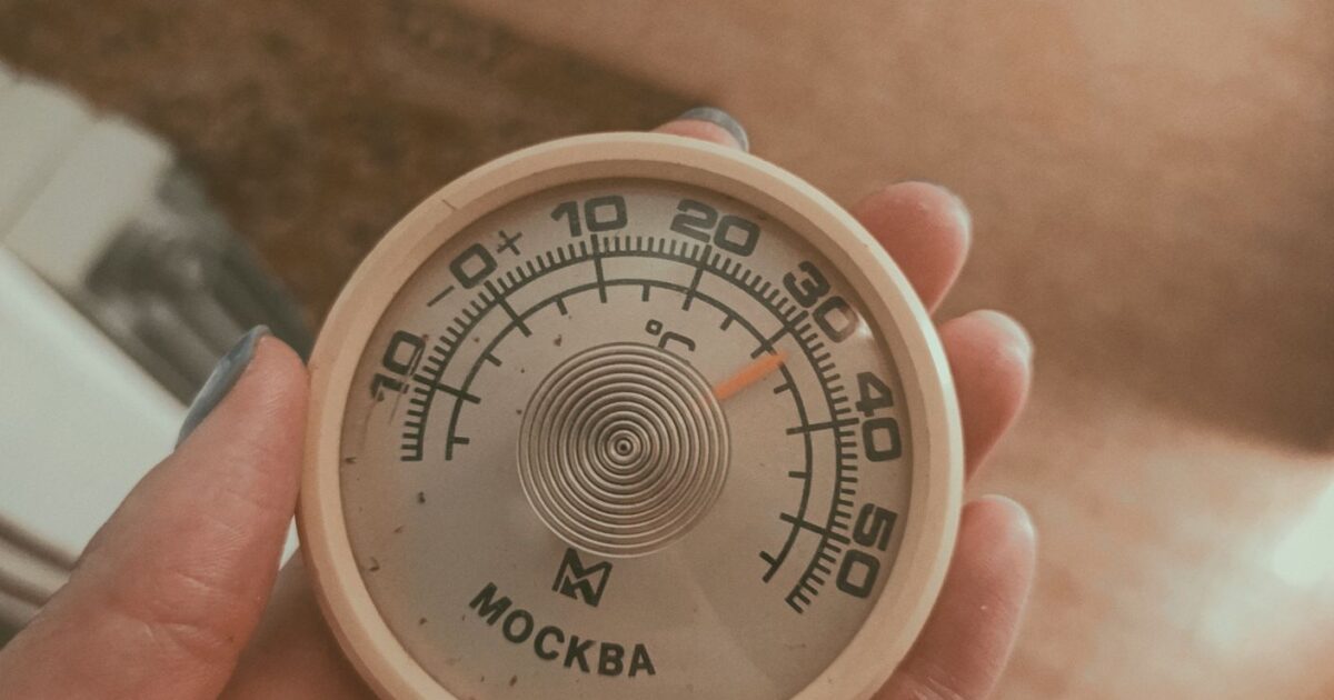 Termômetro e aquecedor para aquário: como manter temperatura