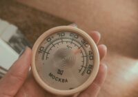 Termômetro e aquecedor para aquário: como manter temperatura