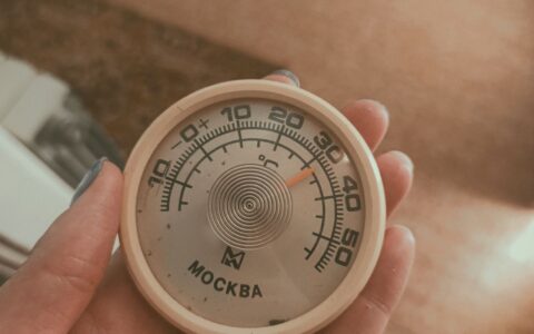 Termômetro e aquecedor para aquário: como manter temperatura