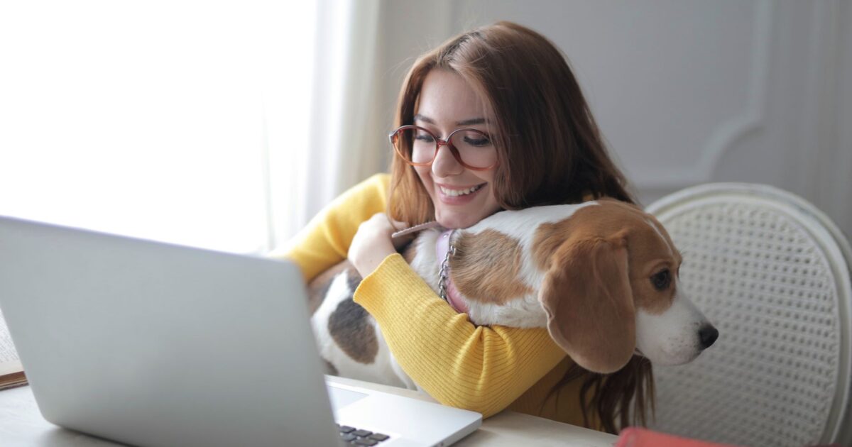 Pets no trabalho: empresas que permitem levar o bichinho