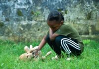 Pets e crianças: como ensinar respeito e convivência segura