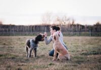 A woman interacts with two dogs in a grassy field, showcasing training and companionship.