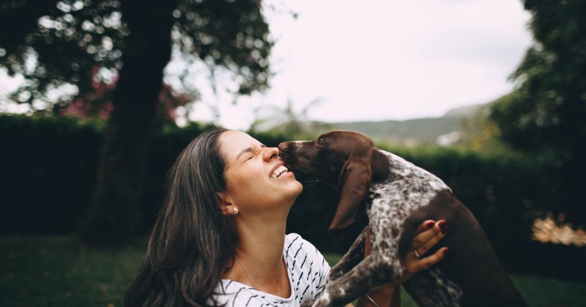 Comportamento canino: entenda o que seu cão quer dizer