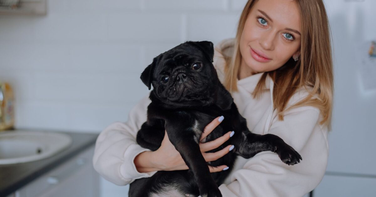 Quando levar seu pet ao veterinário de urgência: Guia