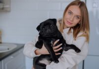 Quando levar seu pet ao veterinário de urgência: Guia