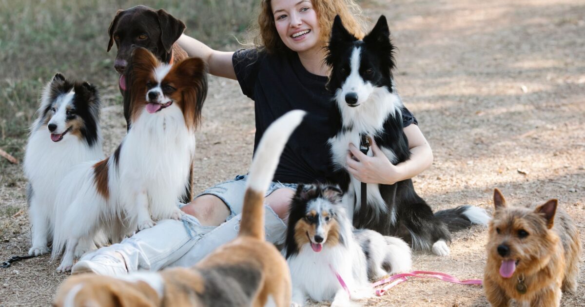 Os 10 cães mais populares do Brasil em 2025: Veja a Lista