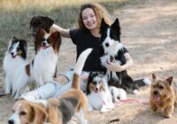 Os 10 cães mais populares do Brasil em 2025: Veja a Lista