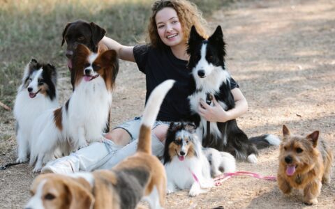 Os 10 cães mais populares do Brasil em 2025: Veja a Lista