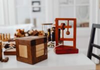 Brinquedos para aves: como estimular a inteligência