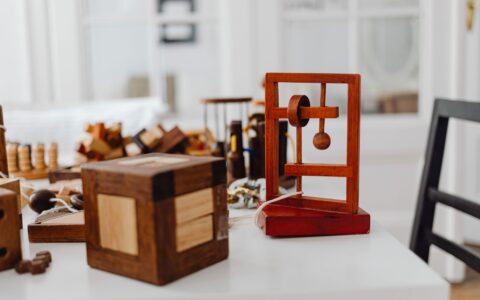 Brinquedos para aves: como estimular a inteligência